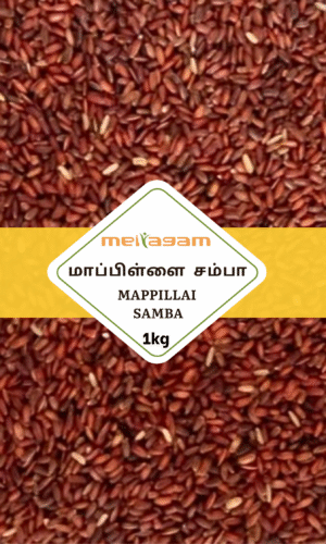 1kg மாப்பிள்ளை சம்பா / Mappillai Samba