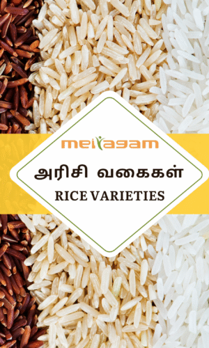 Rice Varieties
